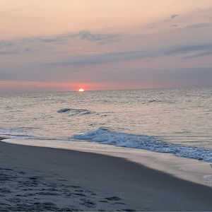 Meet your Posher, Jeanne